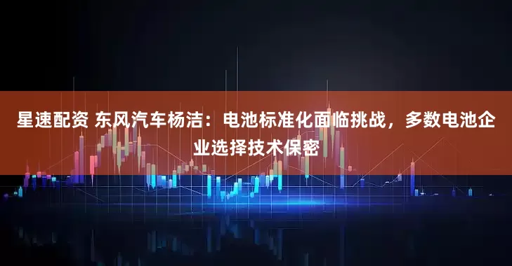 星速配资 东风汽车杨洁：电池标准化面临挑战，多数电池企业选择技术保密